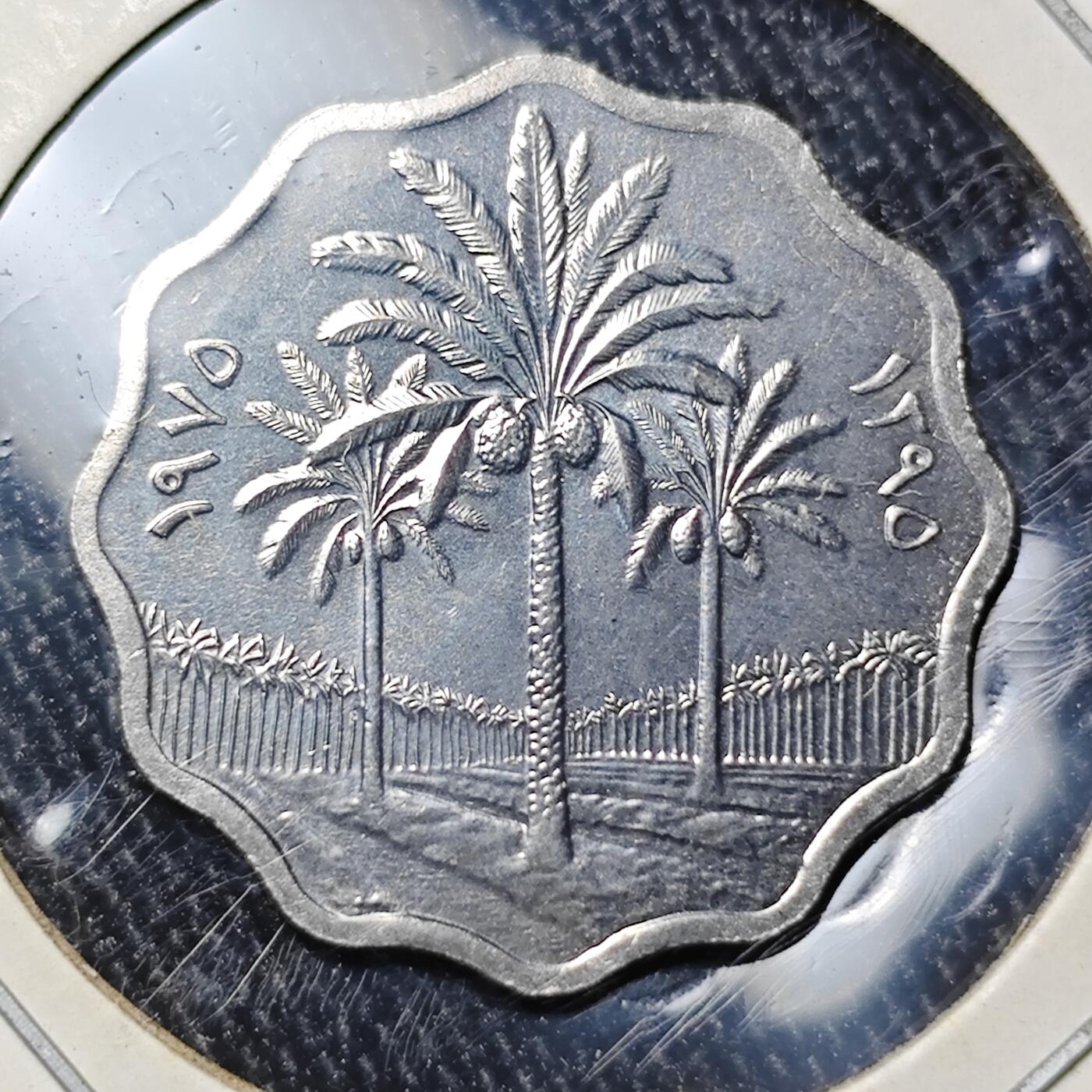 KK钱币收藏小铺 《批量/好品散币 套币 银币》专场 2月预留时间 周末发货  伊拉克5费尔 椰树 纪念币