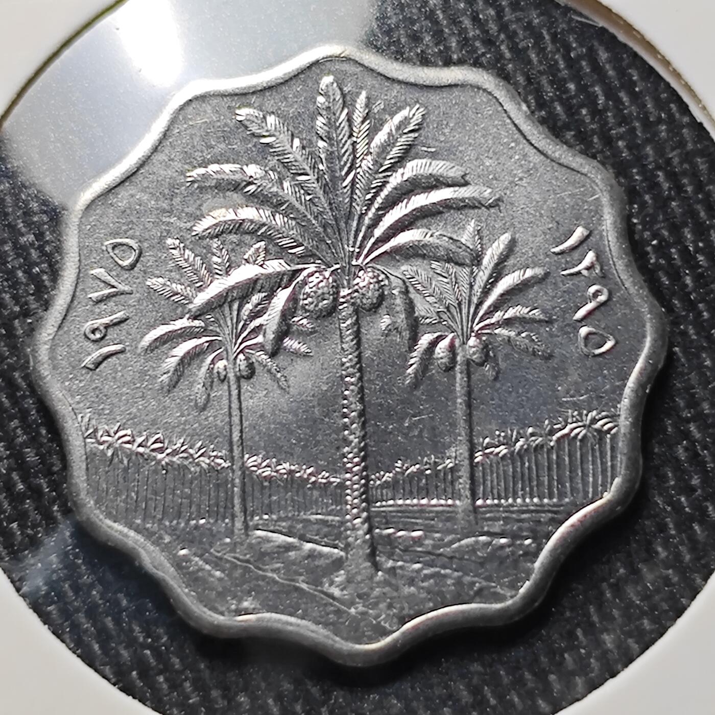 KK钱币收藏小铺 《批量/好品散币 套币 银币》专场 2月预留时间 周末发货  伊拉克5费尔纪念币 好品