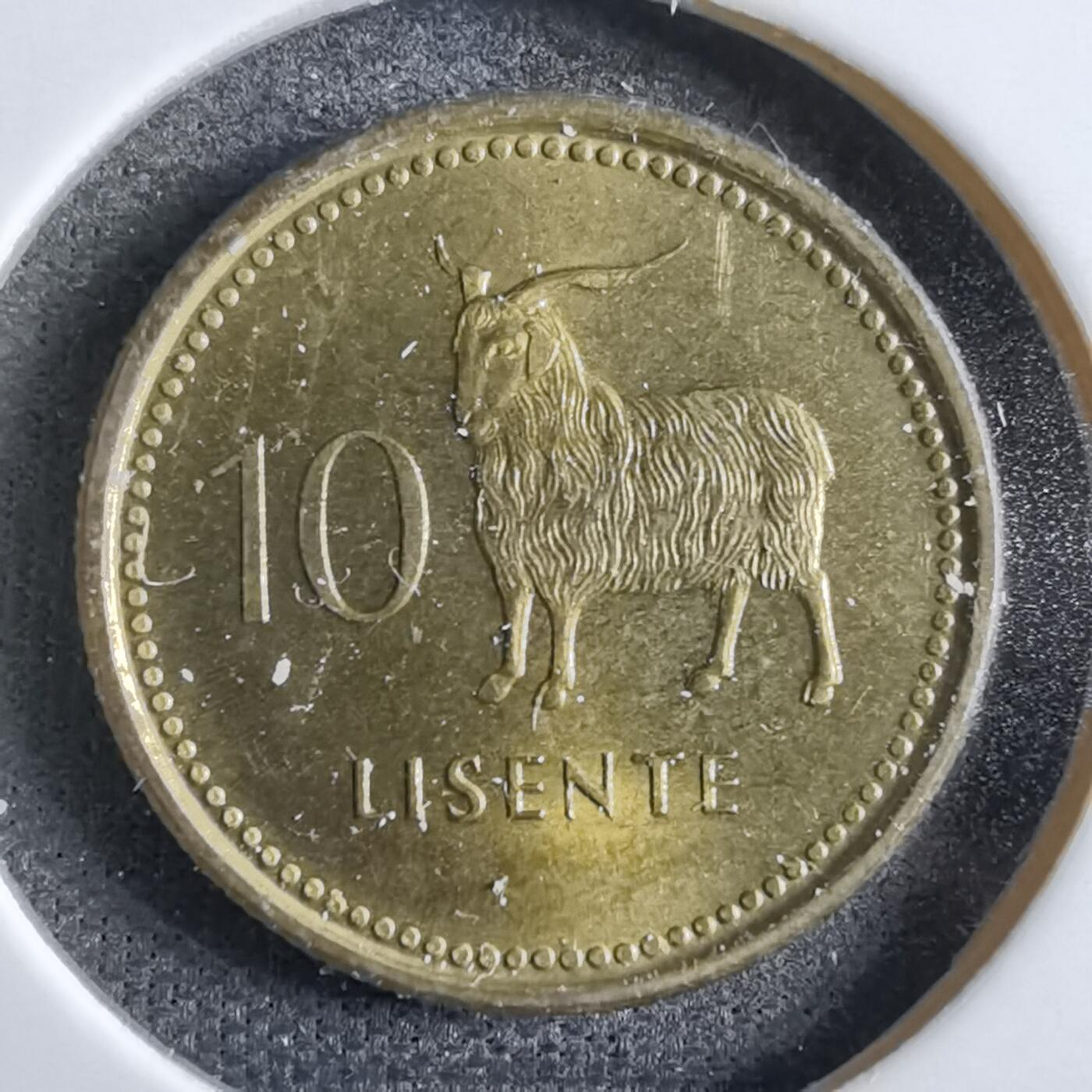 沼泽如烟--第795场