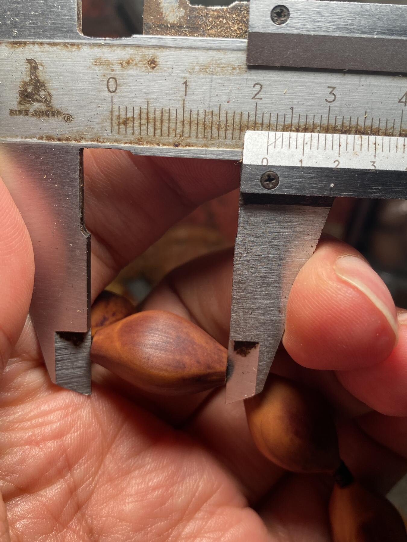 苏州苏工手工核雕放漏价 福利苏工核雕，纯手工天然紫皮核，去皮小长串，个性十足，等待有缘人，市场无同款，尺寸1。4x2.2喜欢的来