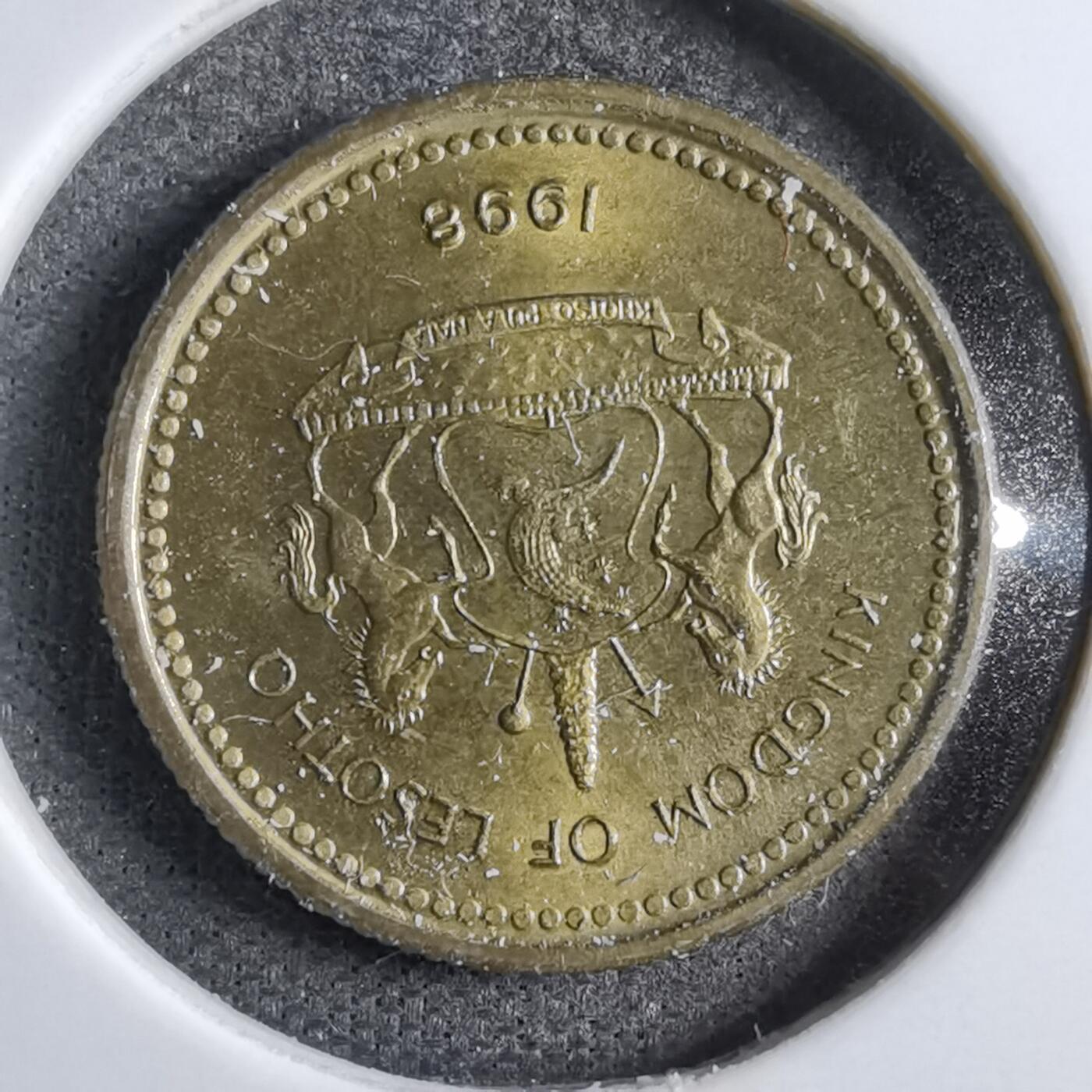 沼泽如烟--第795场