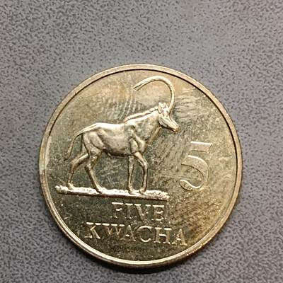 吉祥压岁钱外国硬币第63场 - 赞比亚未流通