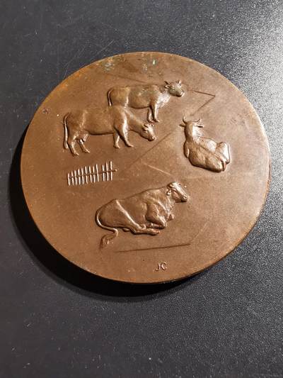 老王徽章第138期 - 法国参议员赠大铜章    直径50mm   重量69.7g