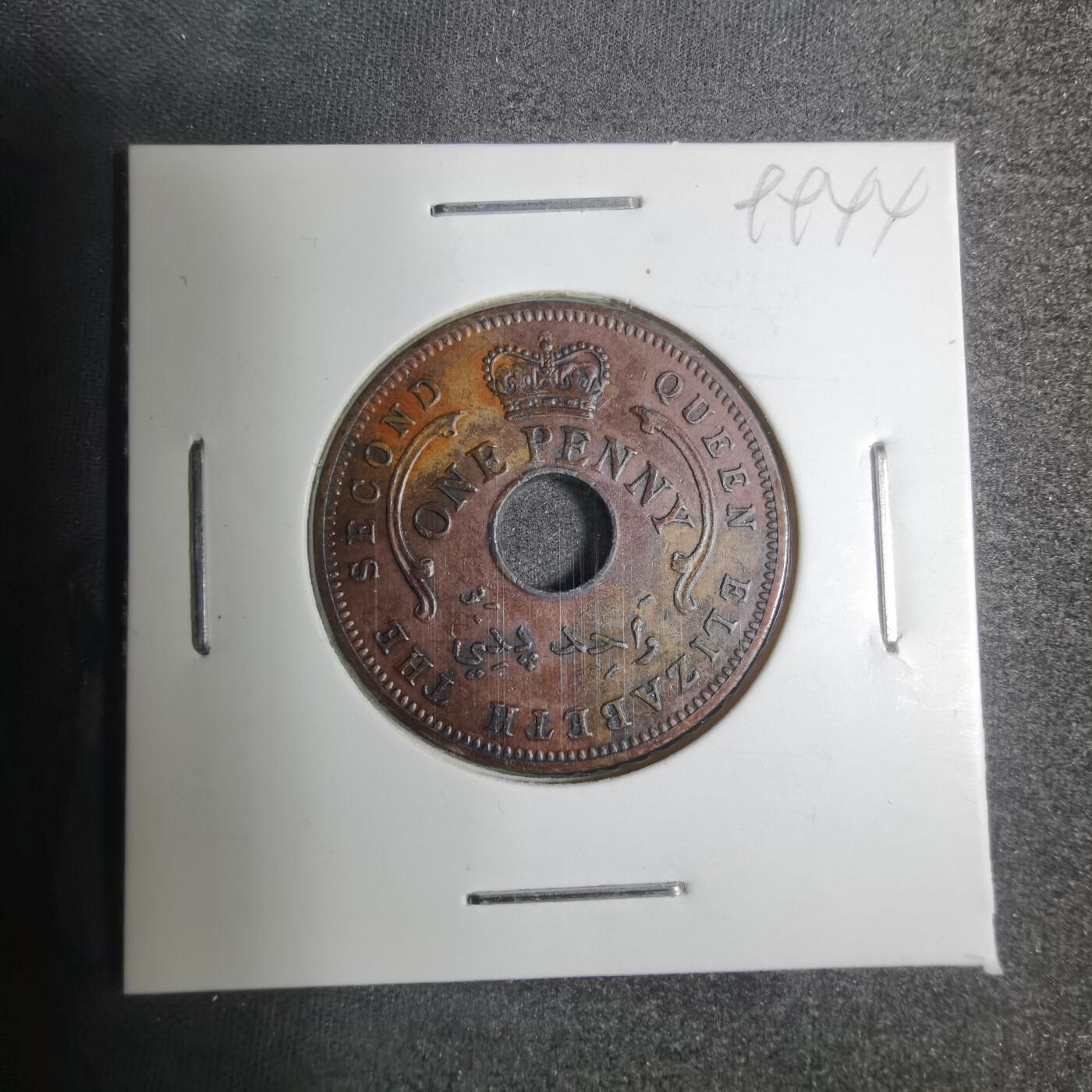 沼泽如烟--第799场