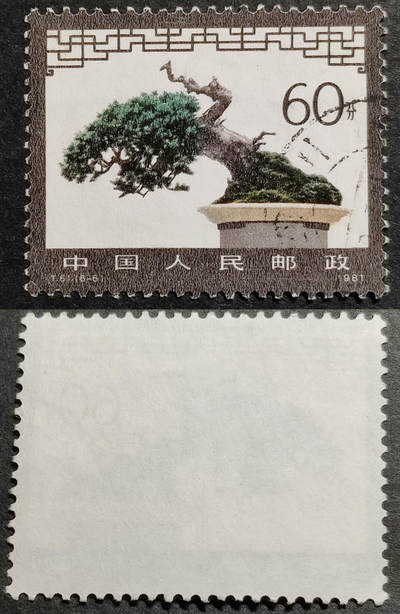 洪涛臻品批发群 精选邮票限时拍卖第1060期  - T61盆景60分大筋票 面艳背白票挺无人为 信销全品【尾图他人在售70元】