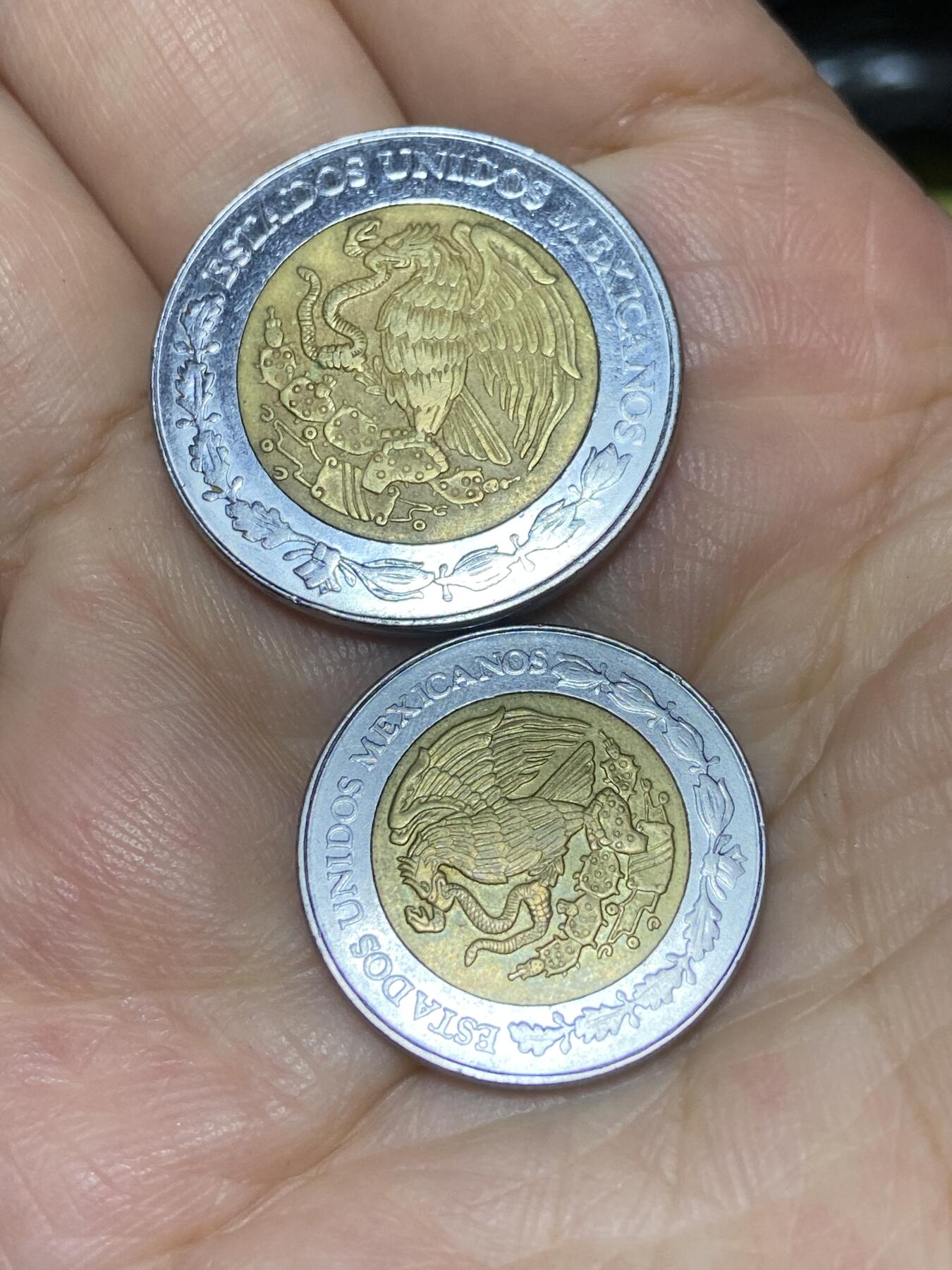2025年第七十一场(总第九十七场）外国好品散币(免佣金) 墨西哥🇲🇽2枚：1993年1比索(早期版本货币符号前带N)，2007年5比索