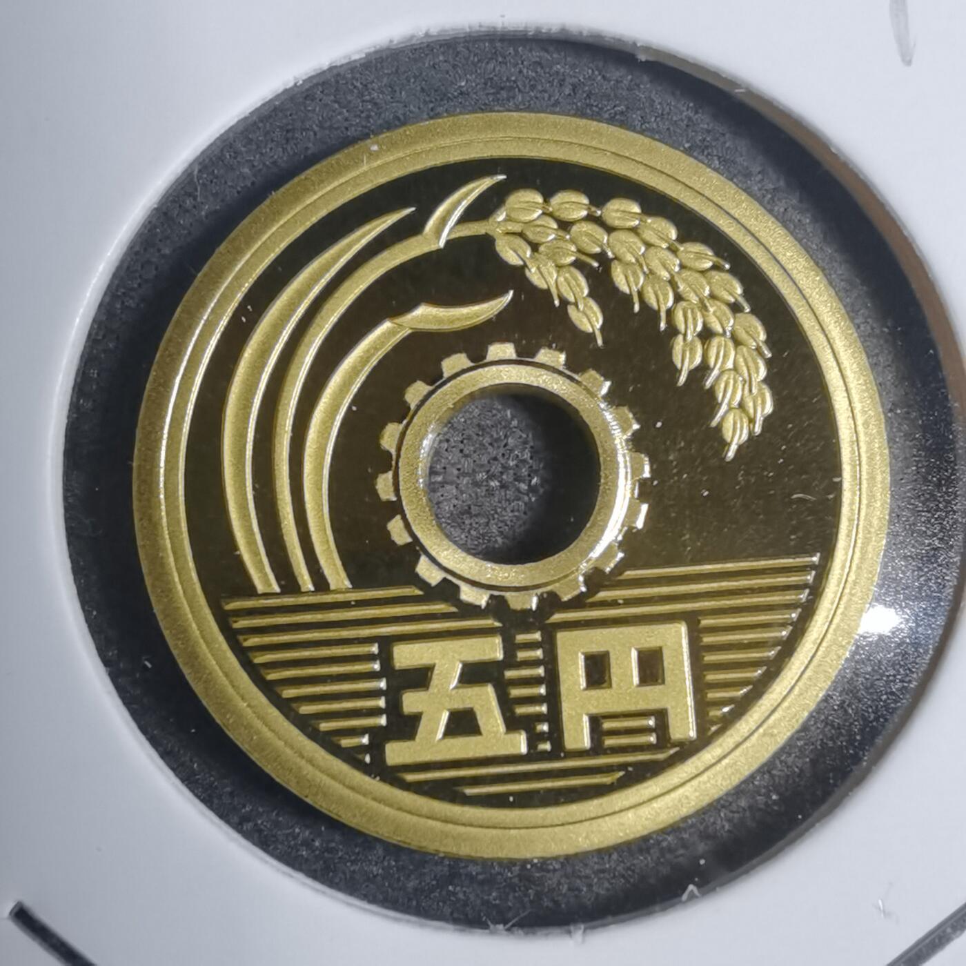 沼泽如烟--第799场