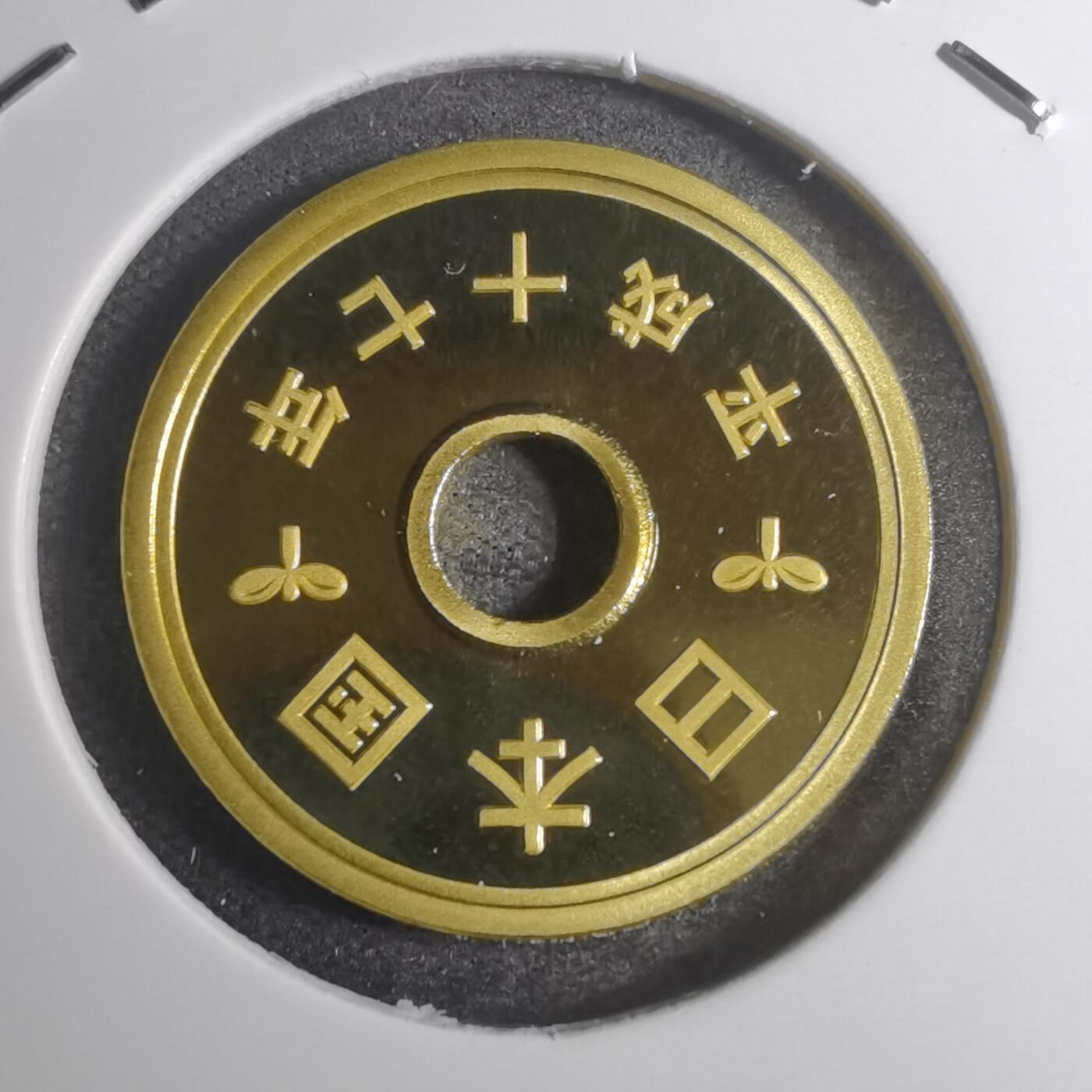 沼泽如烟--第799场