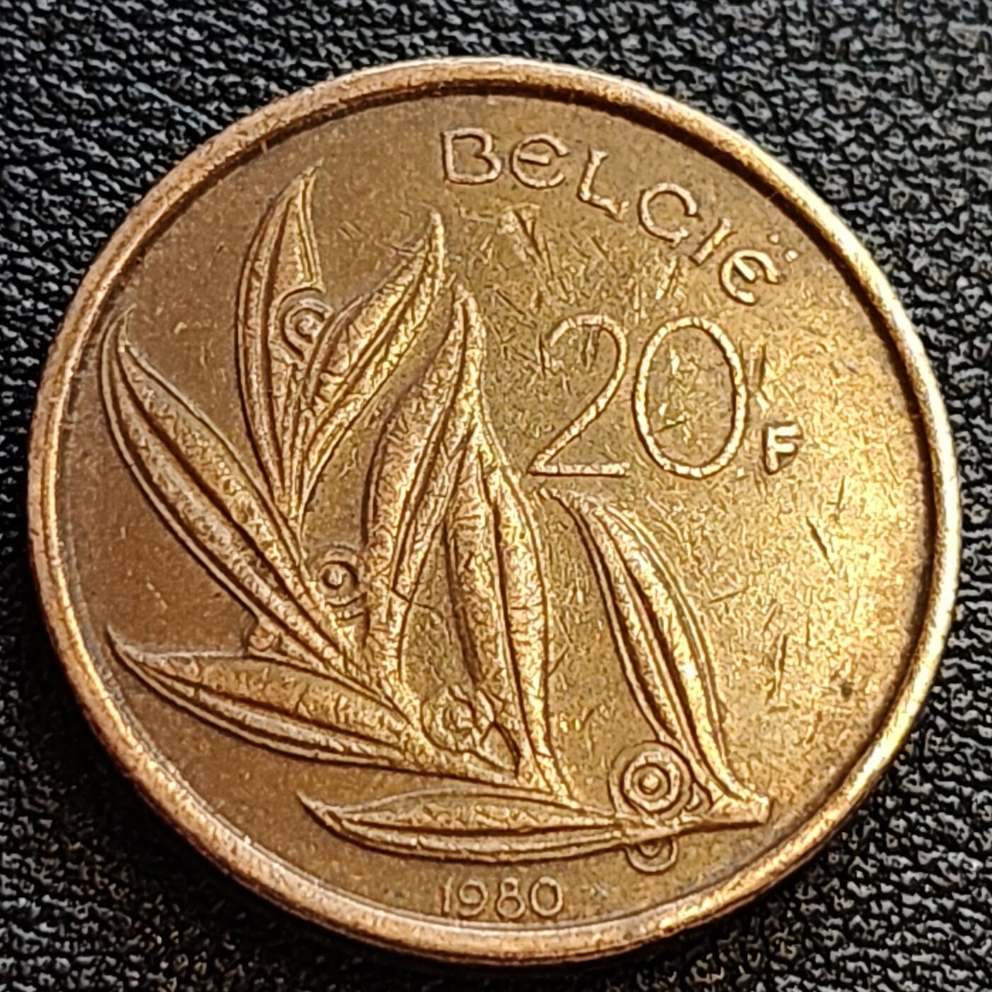 泉币菌-第63场-精品场