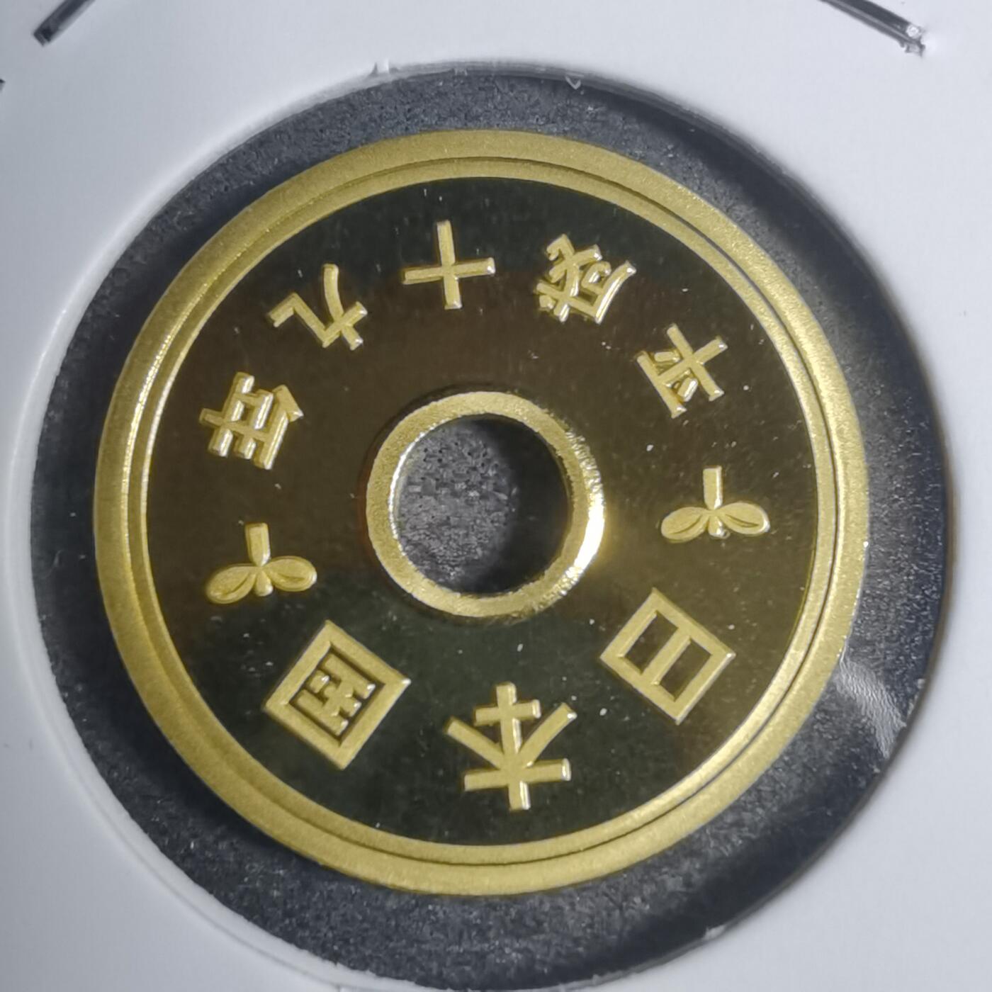 沼泽如烟--第799场