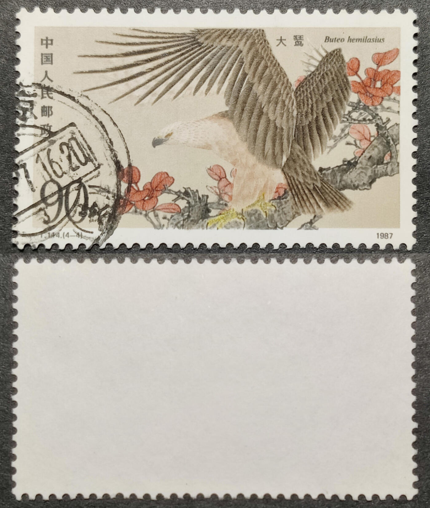 洪涛臻品批发群 精选邮票限时拍卖第1061期  T114大鵟90分大筋 面艳背白票挺无人为 信销全品