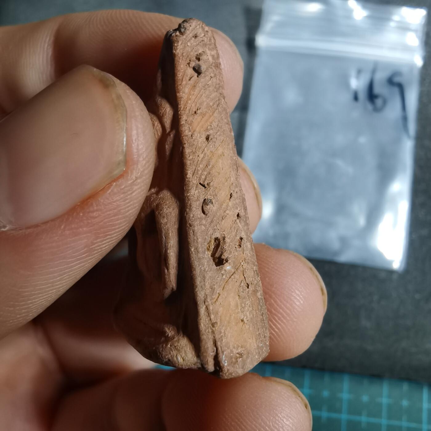 沼泽如烟--第799场