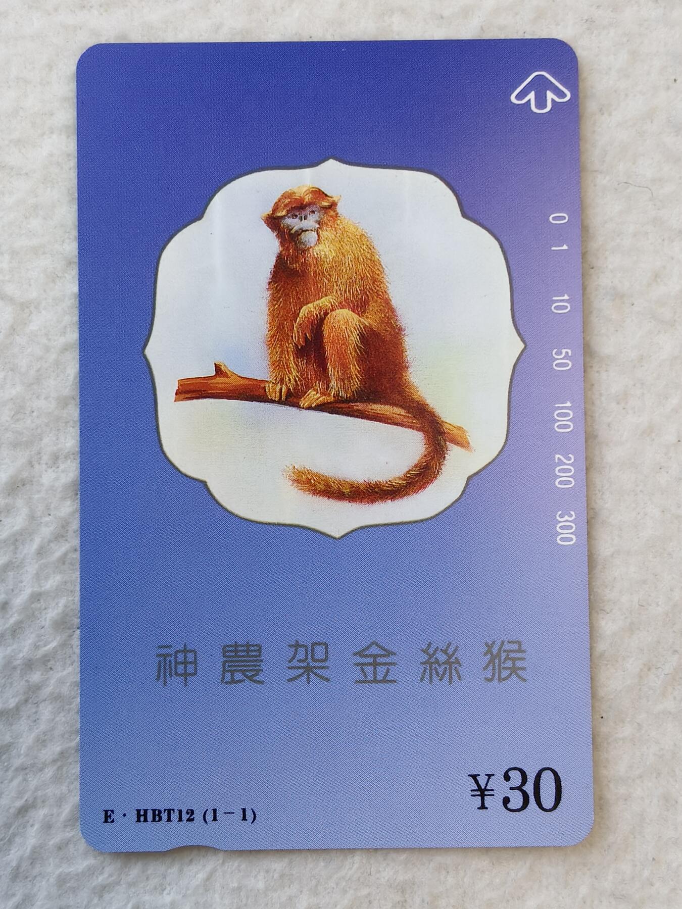 易卡拍卖第30期 神农架金丝猴。易卡五星⭐️标。如图所示！