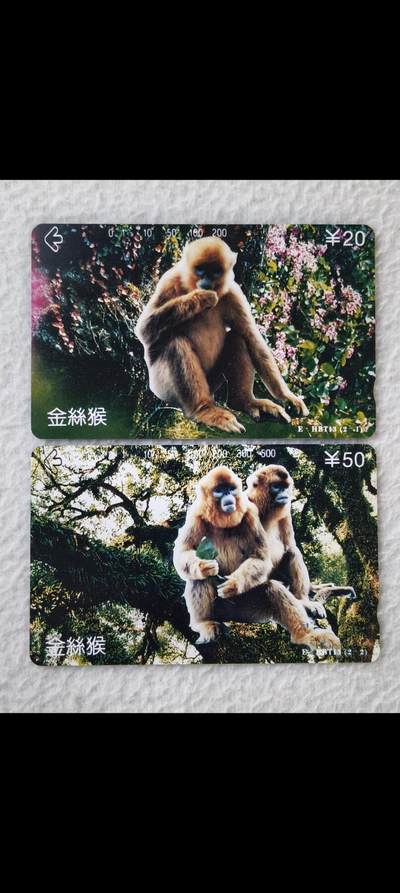 易卡拍卖第30期 - 湖北金丝猴。易卡五星⭐️标。如图所示！