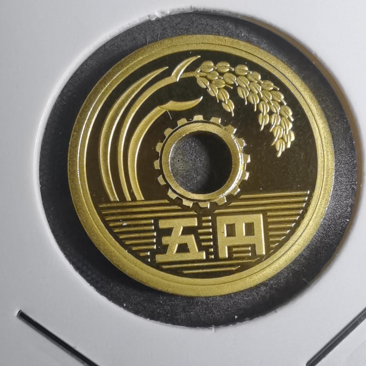 沼泽如烟--第799场