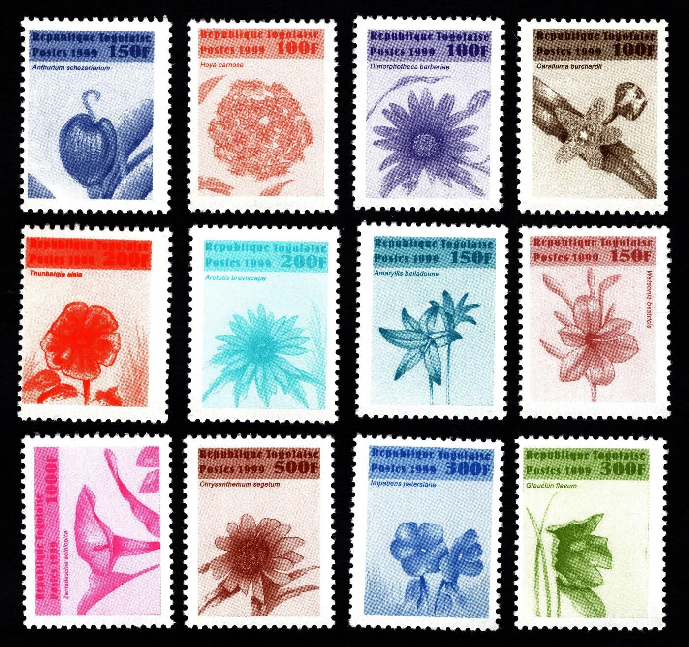洪涛臻品批发群 精选邮票限时拍卖第1059期  多哥 花卉12全 全品【2017标价$11.75美元】