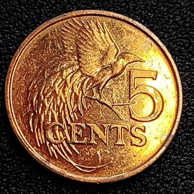 泉币菌-第63场-精品场 - 铜光美品 天堂鸟 特立尼达和多巴哥 5分硬币 21mm