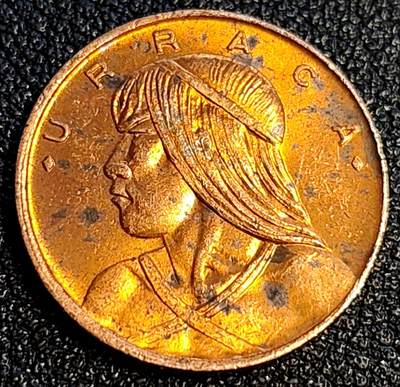 泉币菌-第64场-精品场 。