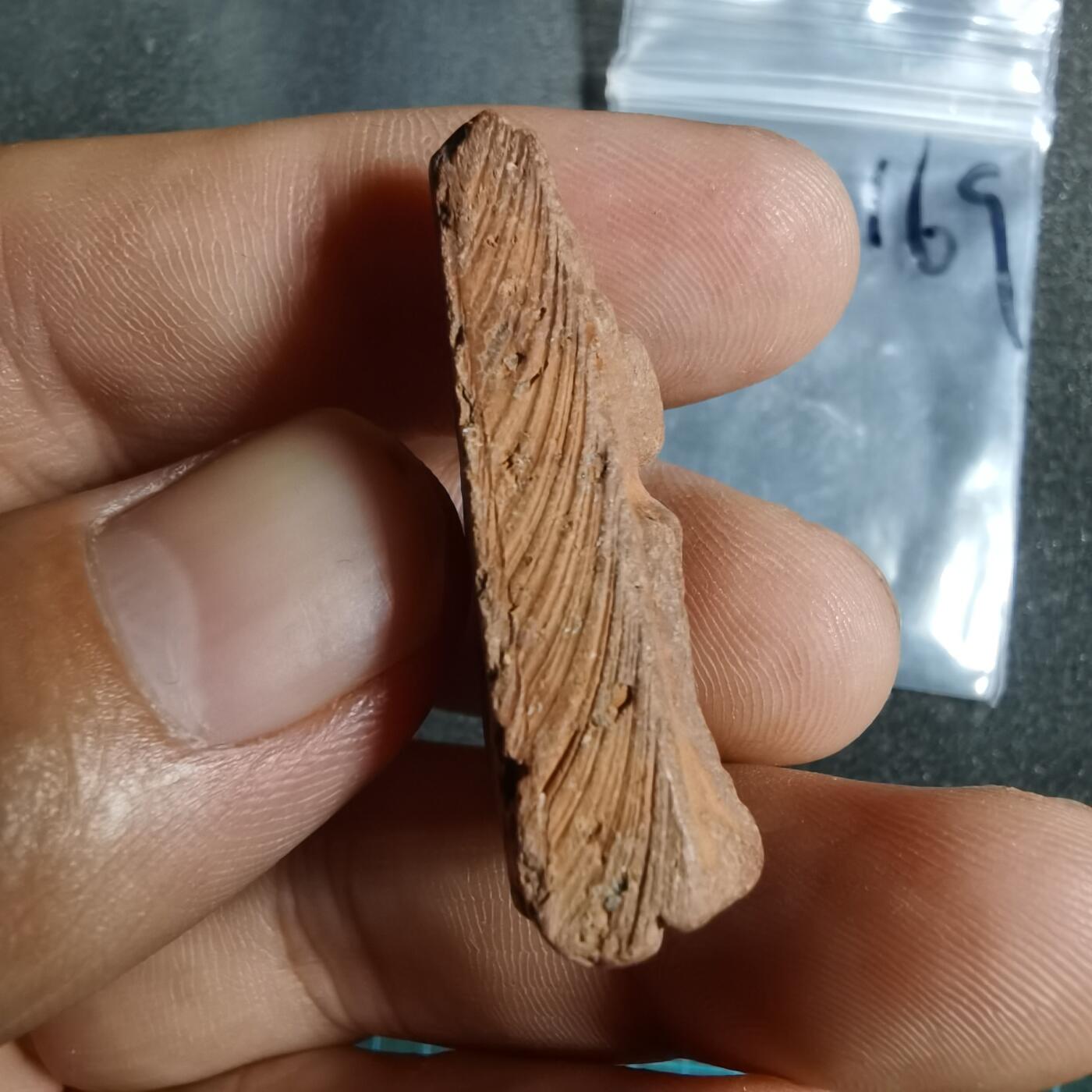 沼泽如烟--第799场