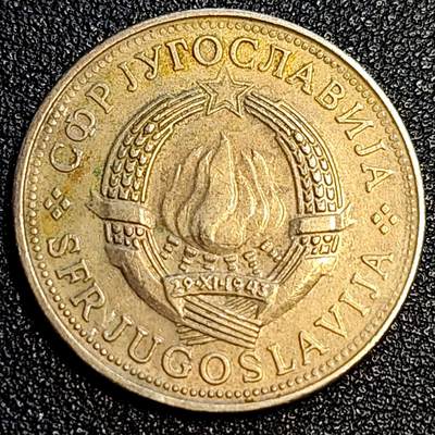 泉币菌-第67场-精品场 大币 1981年南斯拉夫 5第纳尔铜币 绝版币 27.5mm