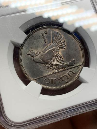 《竞宝斋》第406场 周日，周一，2场连拍 （全场包邮） NGC MS63BN 爱尔兰1935年母鸡一便士大铜币，数量远少于1928，温润巧克力包浆。状态很好，爱尔兰动物币系列，凑套必备