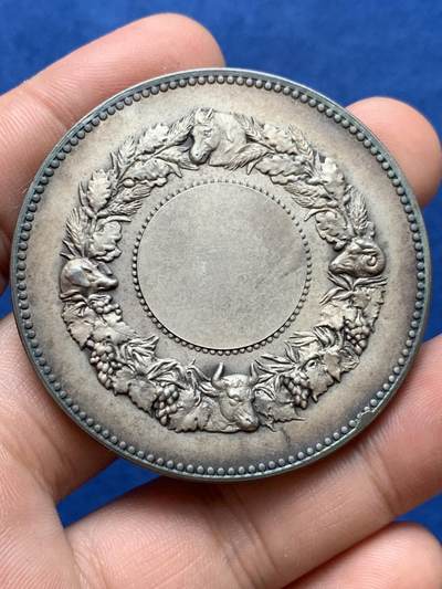 《竞宝斋》第406场 周日，周一，2场连拍 （全场包邮） 1896年法国农业协会玛丽安娜镀银奖章 Dubois作品 经典的女神与播种者形象 背景有飞鸟群、磨坊、谷仓、耕牛 小章显大景 空间感极强 人物力量感十足 画面张力尽显 法系大家的风范！品相极佳。直径：50mm，重：71.6g 丰饶角铜标