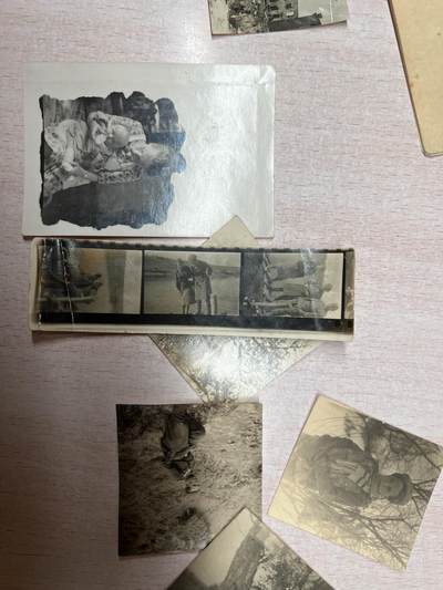 大猫徽章拍卖 第275期 苏联战功红星套 档案齐全 女军官事迹