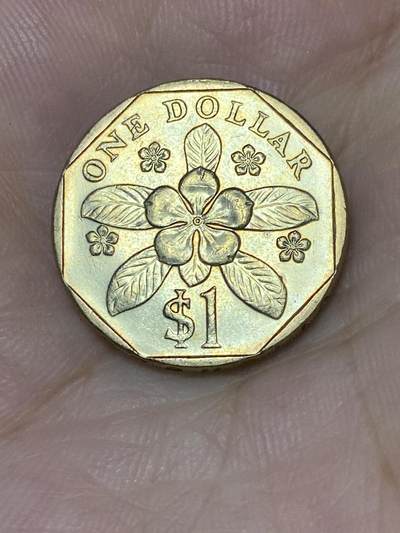 2025年第七十三场(总第九十九场）外国好品散币(免佣金) - 好品–新加坡🇸🇬2010年1元(低盾笑脸版)
