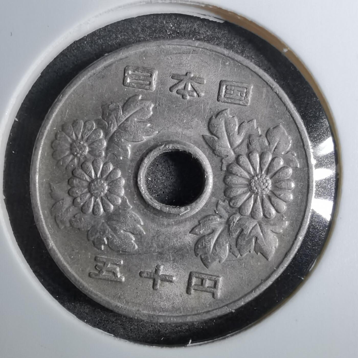 沼泽如烟--第800场