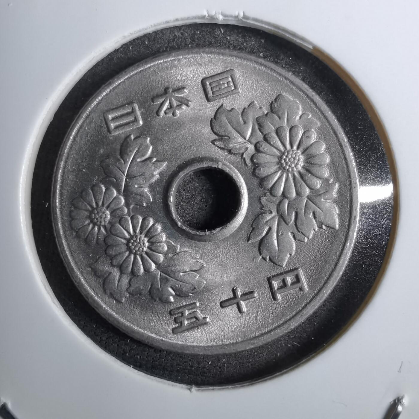 沼泽如烟--第800场