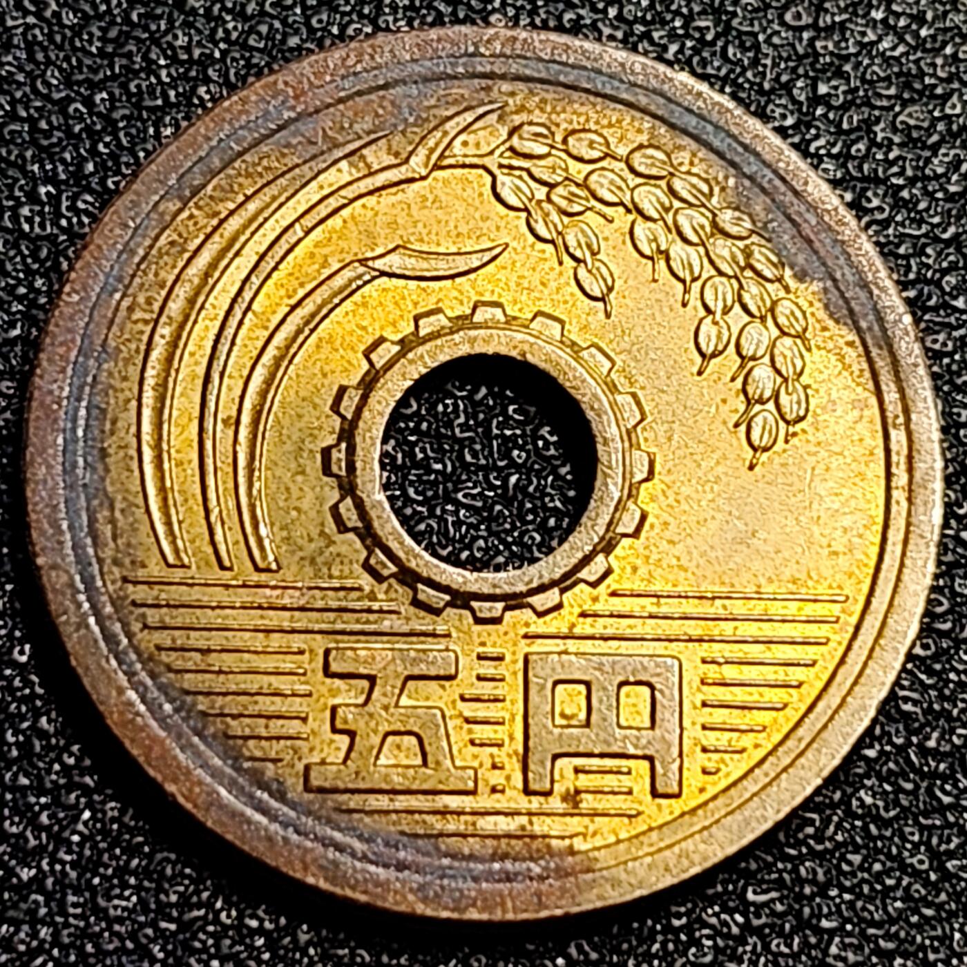 泉币菌-第67场-精品场