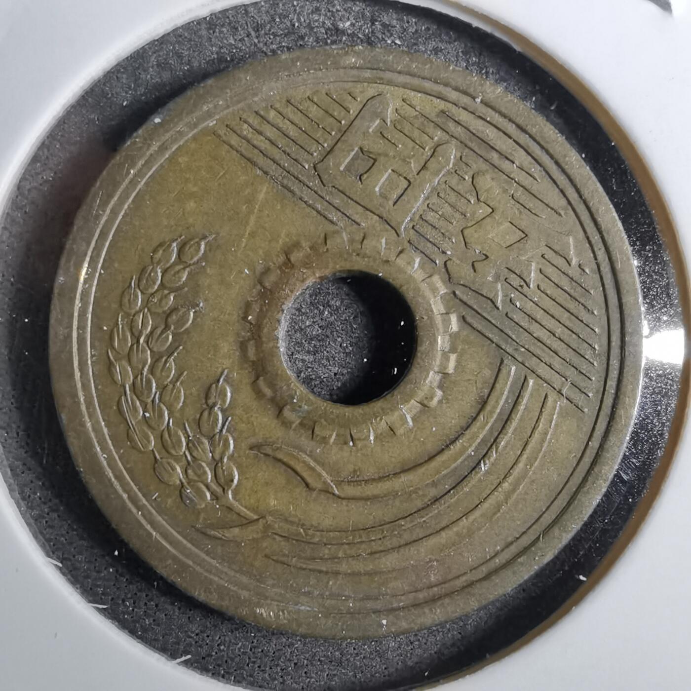 沼泽如烟--第800场