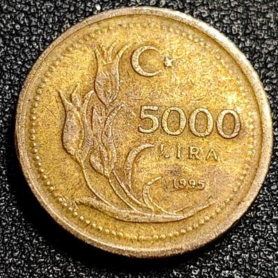 泉币菌-第67场-精品场 - 厚重币 1995年 土耳其5000里拉 19.5mm 