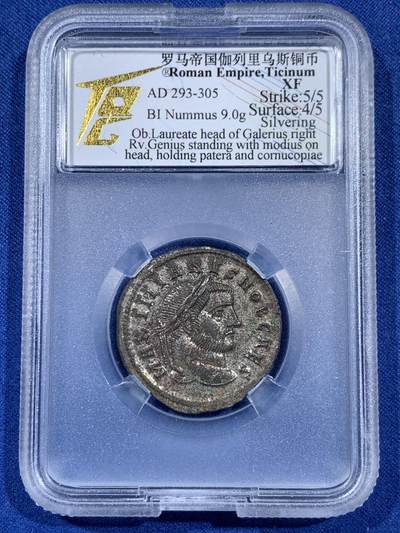 《竞宝斋》第406场 周日，周一，2场连拍 （全场包邮） TQG XF 罗马帝国 公元293-305年 伽列利乌斯洗银币 打制满分 表面4分 细节锐利 银层保留较好