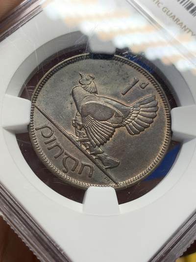 《竞宝斋》第406场 周日，周一，2场连拍 （全场包邮） NGC MS63BN 爱尔兰1935年母鸡一便士大铜币，数量远少于1928，温润巧克力包浆。状态很好，爱尔兰动物币系列，凑套必备