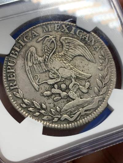 《竞宝斋》第406场 周日，周一，2场连拍 （全场包邮） NGC XFD 墨西哥 1831 Go MJ 鹰洋 8瑞尔 双星版 5级鹰 早期鹰 非常稀少