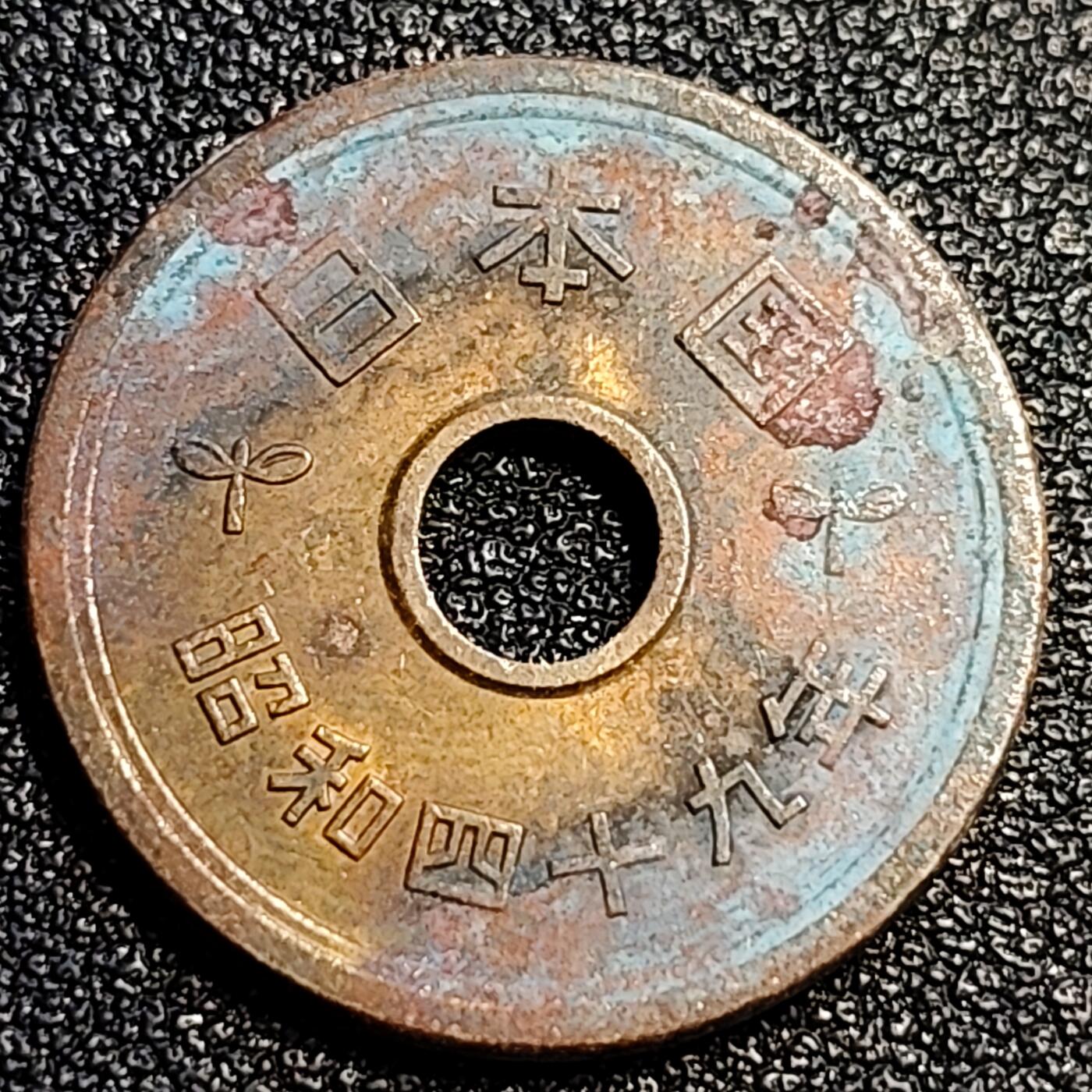 泉币菌-第67场-精品场