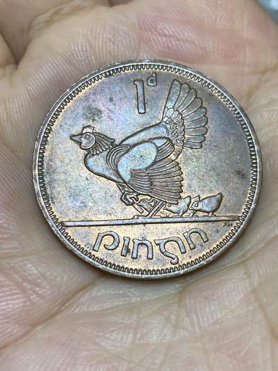 2025年第七十二场(总第九十八场）外国好品散币(免佣金) - 爱尔兰🇮🇪1965年1便士(共和国时期第一套)