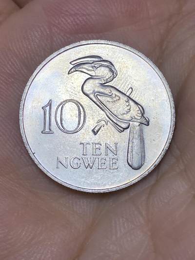 2025年第七十三场(总第九十九场）外国好品散币(免佣金) - 赞比亚🇿🇲1968年10恩韦(第二套首发年)