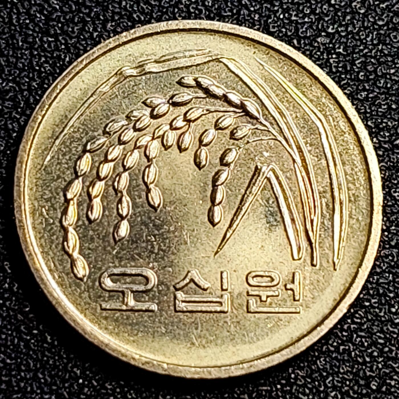 泉币菌-第67场-精品场