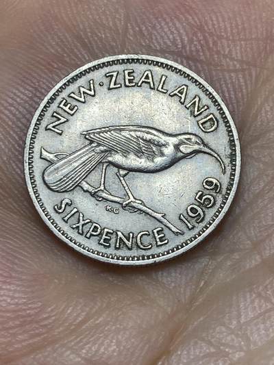 2025年第七十二场(总第九十八场）外国好品散币(免佣金) - 新西兰🇳🇿1959年6便士(伊丽莎白二世青年桂冠第二版)