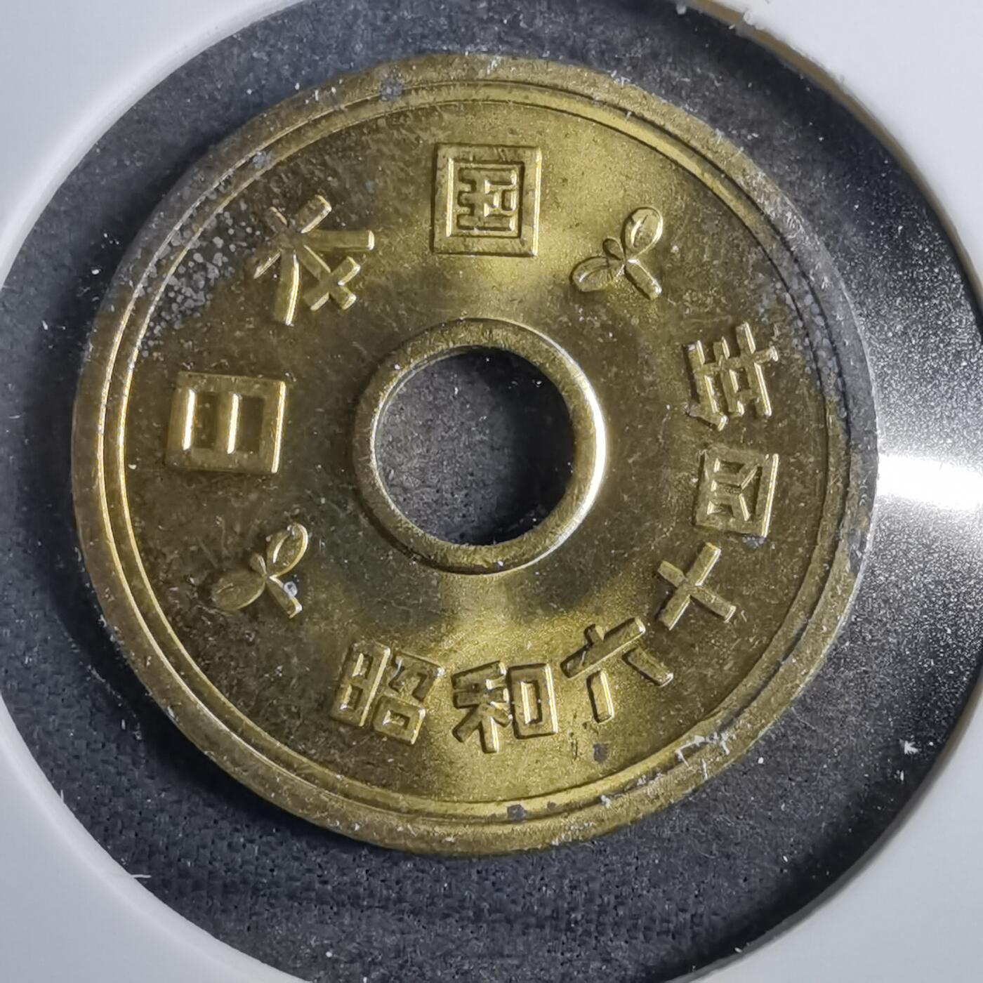 沼泽如烟--第801场