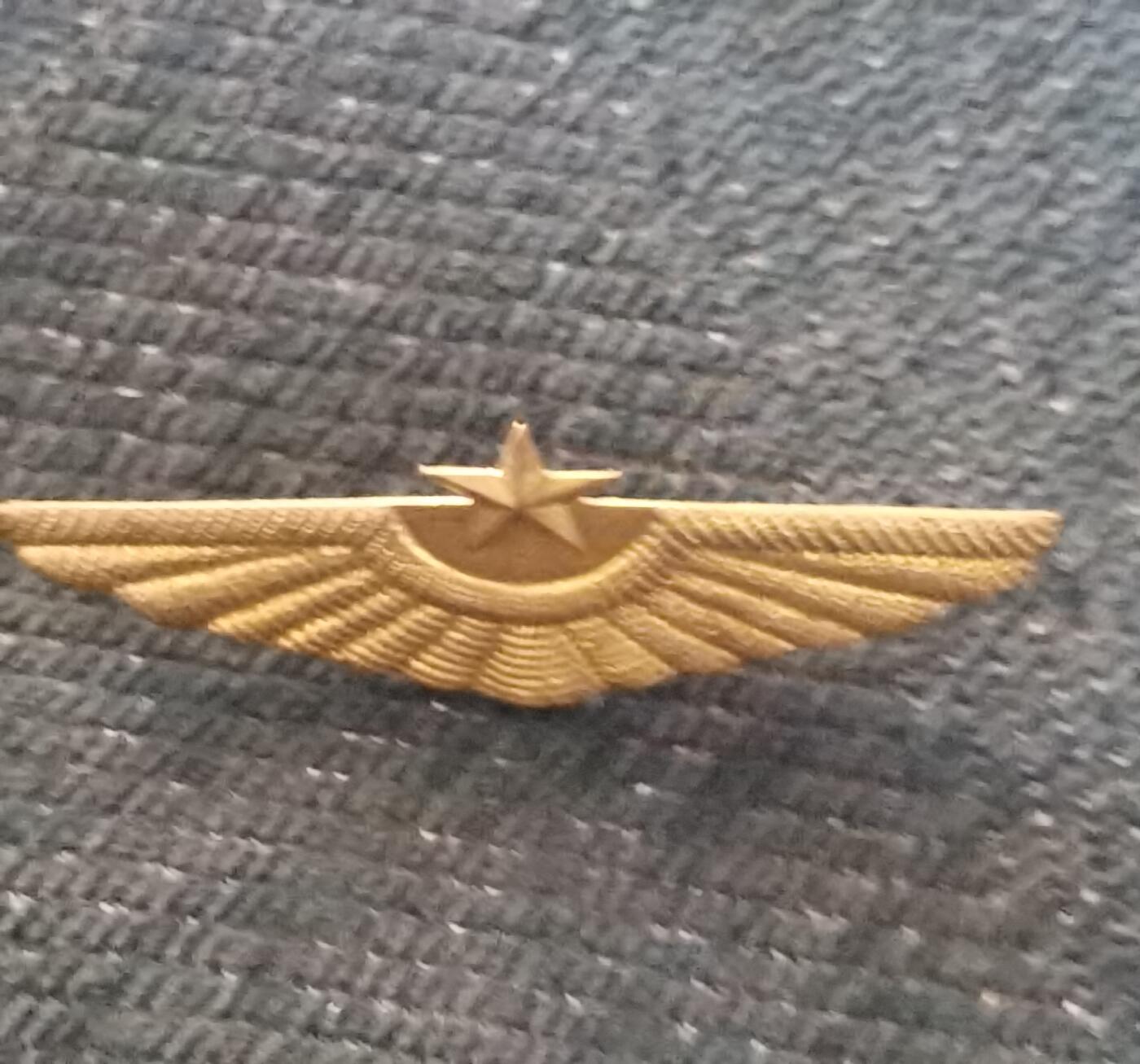 玉仁红藏首场徽章钱币拍卖（捡漏）上面👆图片有群加群7：40同拍 朝鲜人民军空军帽徽