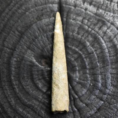 【良泉】第36期【直播场】8月21日晚19.30点开拍！173组，西方古代钱币、杂项专场 - 约公元前三千纪【西亚】骨质箭头，5.45厘米，3.2克