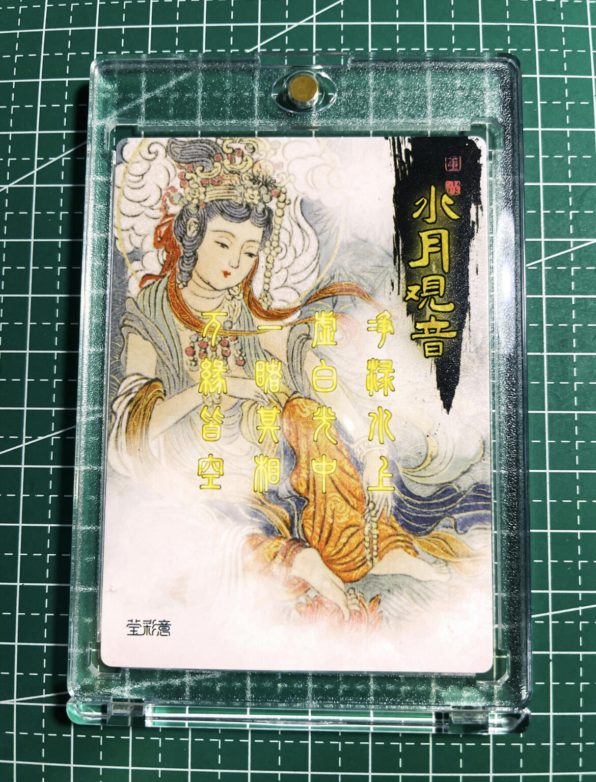 显眼宝25期 颜值精选