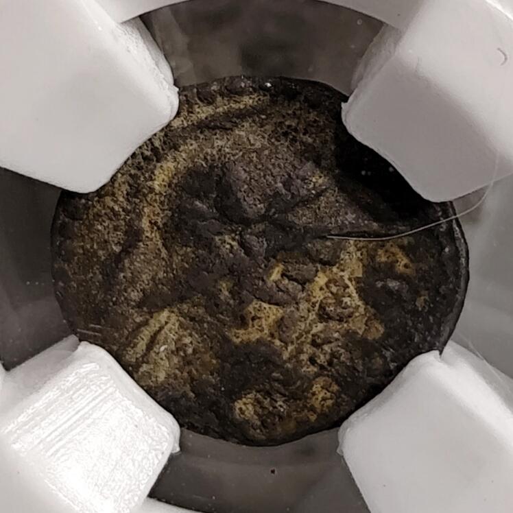 希腊罗马丝路打制币化石【中外钱币放漏】专场！陆小鱼的钱币仓，限时拍卖第072场