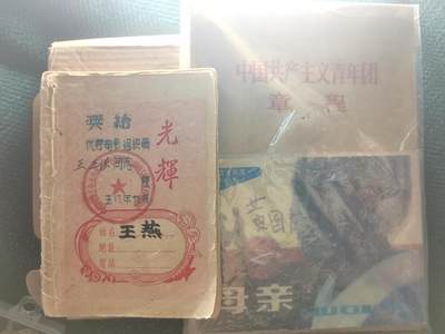 玉仁红藏首场徽章钱币拍卖（捡漏）上面👆图片有群加群7：40同拍 - （本场福利，拍卖最高者得记得联系主包）共青团章程.母亲画书.献给优秀电影组织员