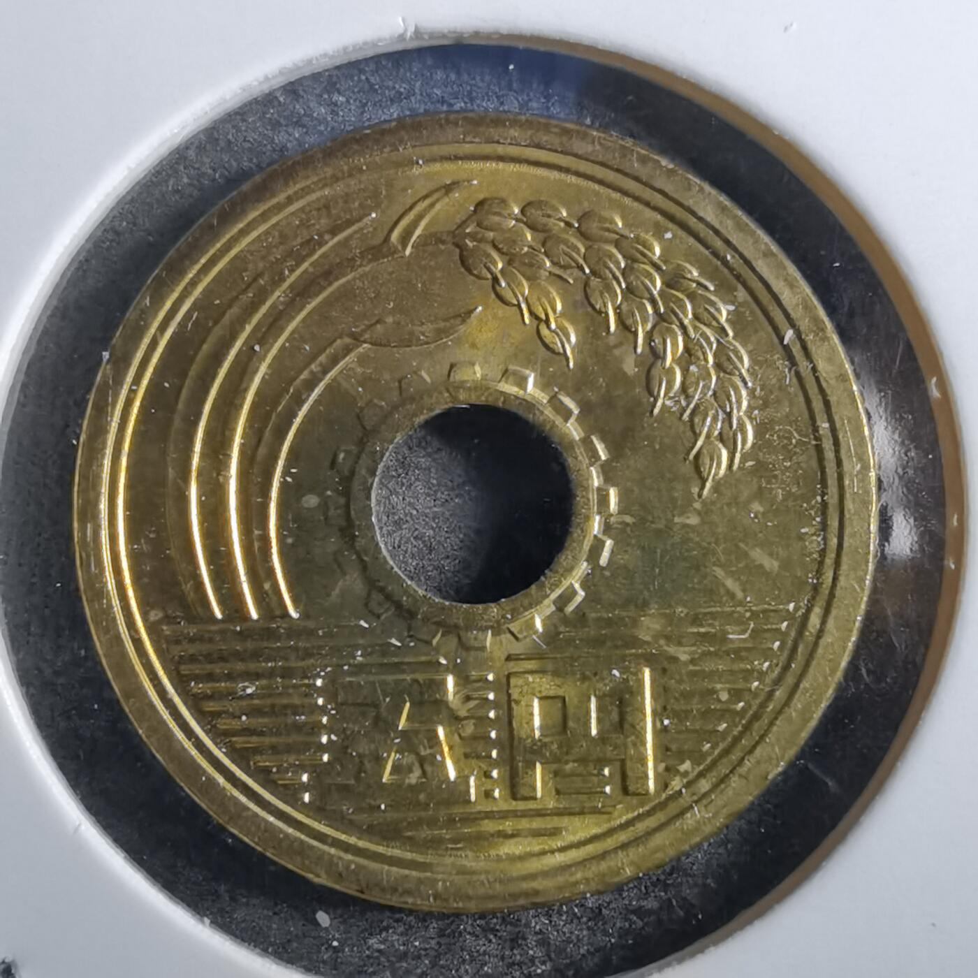 沼泽如烟--第798场 昭和五十八年五元