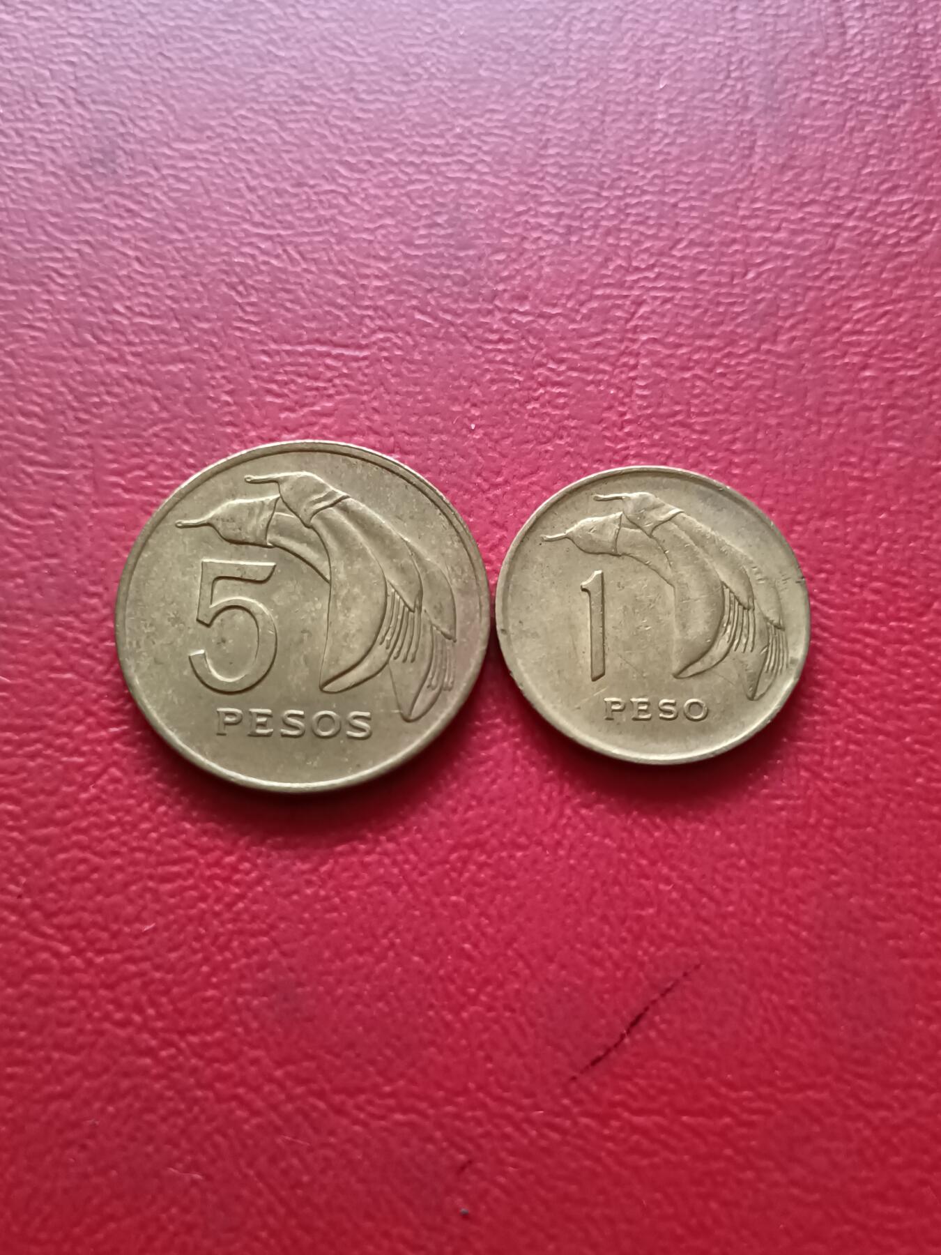 【云涧收藏】第四十九场 乌拉圭1969年1、5比索2枚