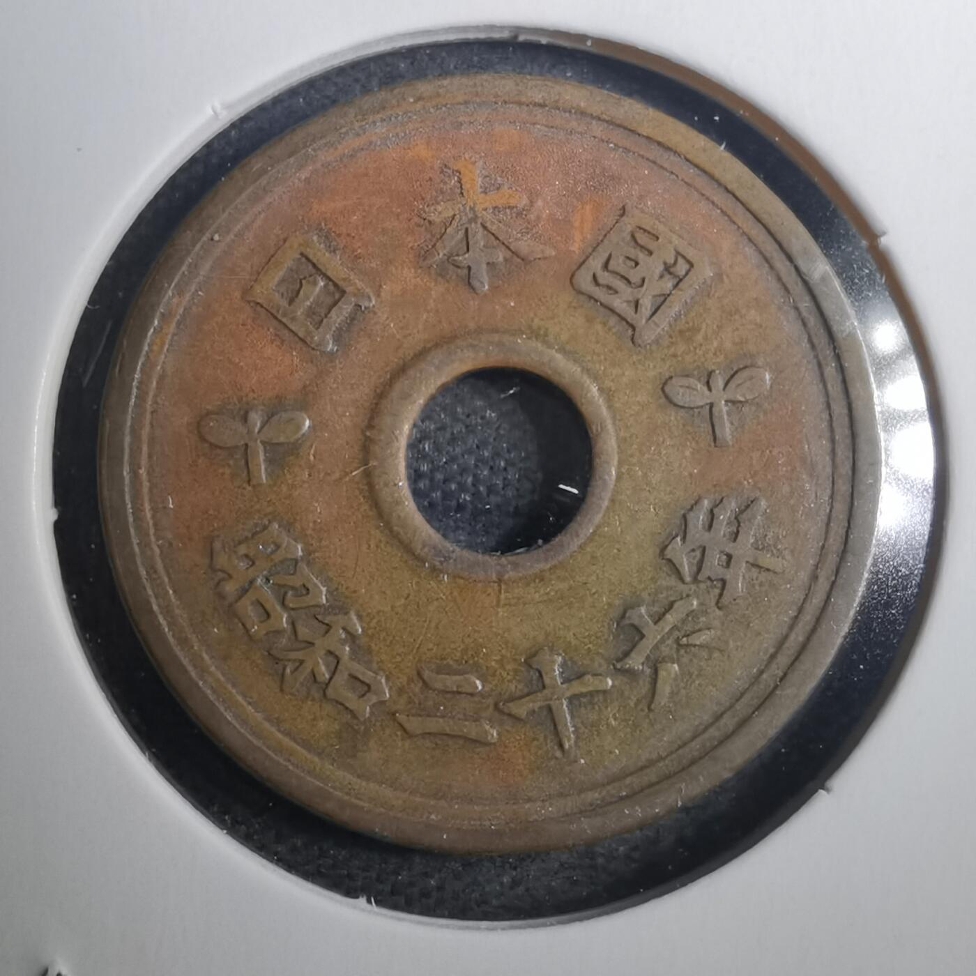 沼泽如烟--第802场